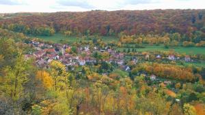 Aufnahme von Ziegenhain im Herbst: im Vordergrund sind herbstlich verfärbte Bäumen, gefolgt von der Siedlung mit Häusern, gefolgt von grünen Wiesen und herbstlicher Waldlandschaft