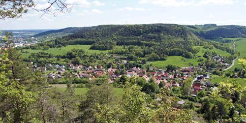 Ortsteil Ammerbach mit Blick aus nördlicher Richtung: im Vordergrund sind grüne Bäume, gefolgt von einer grünen Wiese, anschließend folgt die Siedlung mit Häusern, dann folgen Waldgrundstücke und der Lämmerberg