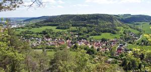 Ortsteil Ammerbach mit Blick aus nördlicher Richtung: im Vordergrund sind grüne Bäume, gefolgt von einer grünen Wiese, anschließend folgt die Siedlung mit Häusern, dann folgen Waldgrundstücke und der Lämmerberg