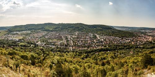 Blick vom Jenzig auf Wenigenjena: im Vordergrund ist das Gebirge mit Büschen und Bäumen, gefolgt von der großen Siedlung mit Häusern, gefolgt vom Hausberg mit Fuchsturm; auf der rechten Seite mittig vom Bild liegt das Zentrum Jenas und auf der linken Seite am Ende der Siedlung sind landwirtschaftliche Nutzflächen