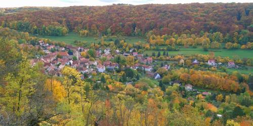 Aufnahme von Ziegenhain im Herbst: im Vordergrund sind herbstlich verfärbte Bäumen, gefolgt von der Siedlung mit Häusern, gefolgt von grünen Wiesen und herbstlicher Waldlandschaft